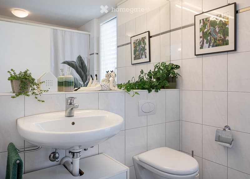 Modern bathroom with white tiles, a sink, toilet, framed pictures, and decorative plants on the counter.