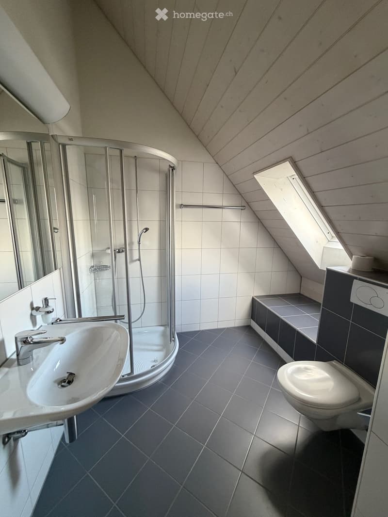 Modern bathroom with bathtub, shower, toilet, and sink.