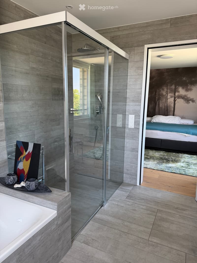 Modern bathroom with a large glass-enclosed shower, a bathtub, and decorative items on a shelf. The space features a sleek, contemporary design with grey tiles and wooden accents.