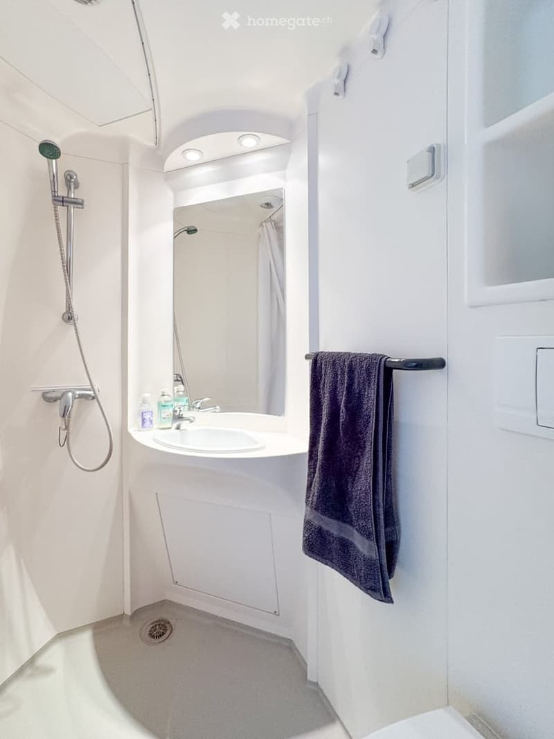 Compact bathroom with a corner sink, shower, and towel rack. Features a modern design with white walls and a curved ceiling.