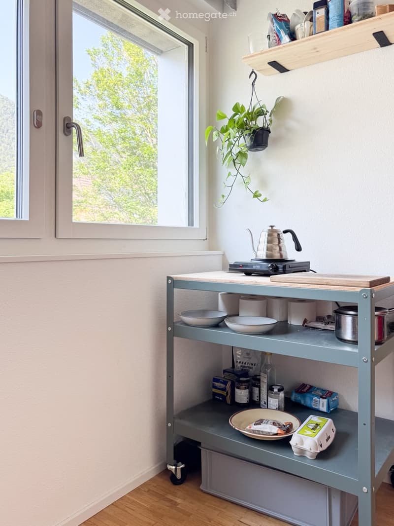 Compact kitchen area with a light blue mobile cart, electric stove, teapot, bowls, and shelves holding various kitchen items and a potted plant.