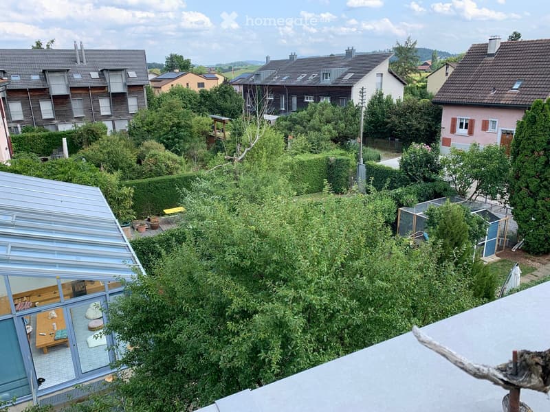 A lush garden area with dense greenery, including trees and shrubs, surrounding a modern glass-enclosed patio area with a wooden table and chairs. The background shows a residential neighborhood with houses and solar panels on rooftops.