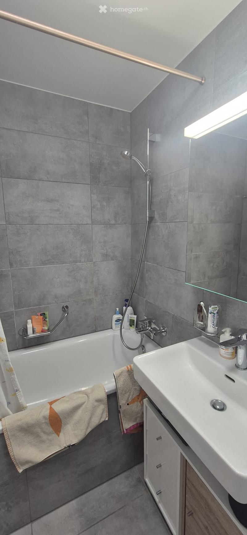 Modern bathroom with grey tiled walls, a bathtub, a sink, and a shower hose. Towels are draped over the edge of the tub, and toiletries are placed on the sink counter.
