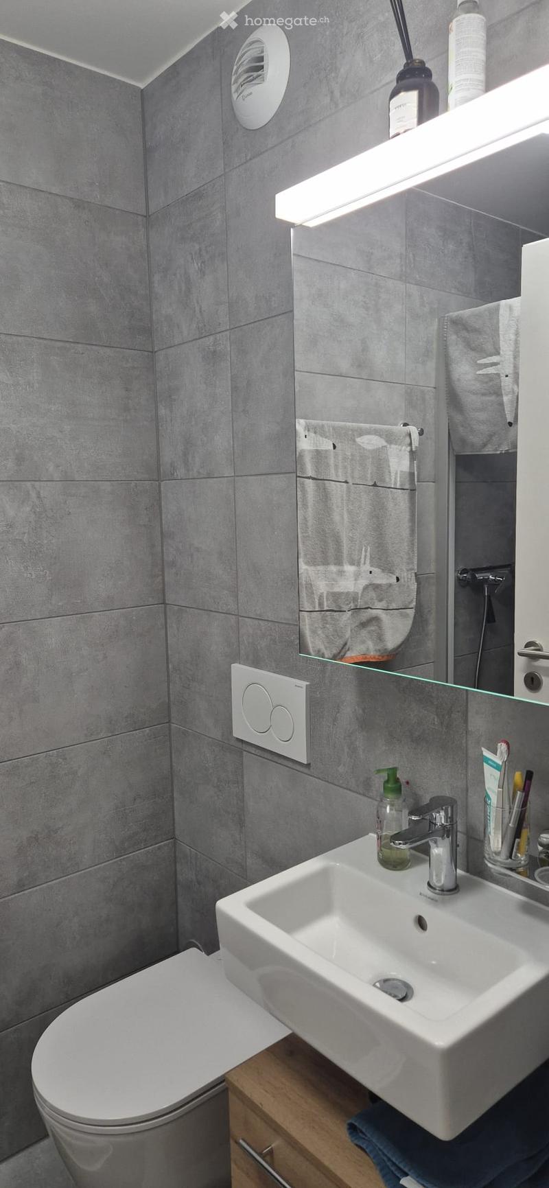 Modern bathroom with grey tiled walls, a white sink with a chrome faucet, a toilet, a large mirror with a built-in shelf holding a towel, and a toothbrush holder on the counter.