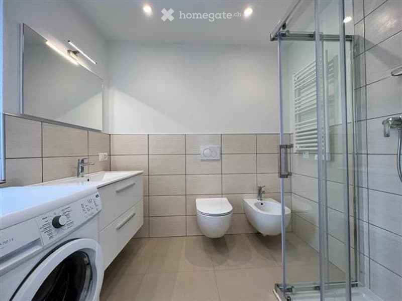 Modern bathroom with a white sink, mirror, toilet, bidet, and a glass-enclosed shower stall. A washing machine is integrated into the cabinetry.