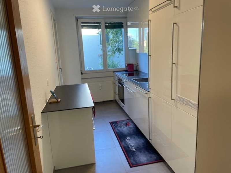 Modern kitchen with white cabinets, black countertop, stainless steel sink, and a small rug on the floor.