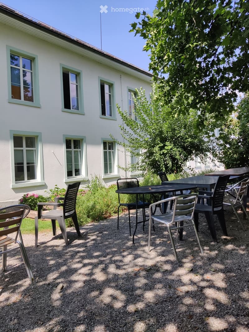 Outdoor seating area with a table and several chairs, surrounded by greenery and a house with multiple windows.