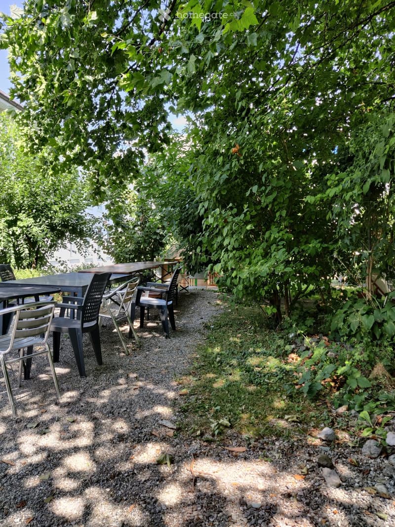 A shaded outdoor seating area with a table and chairs under a large tree, surrounded by gravel and greenery.