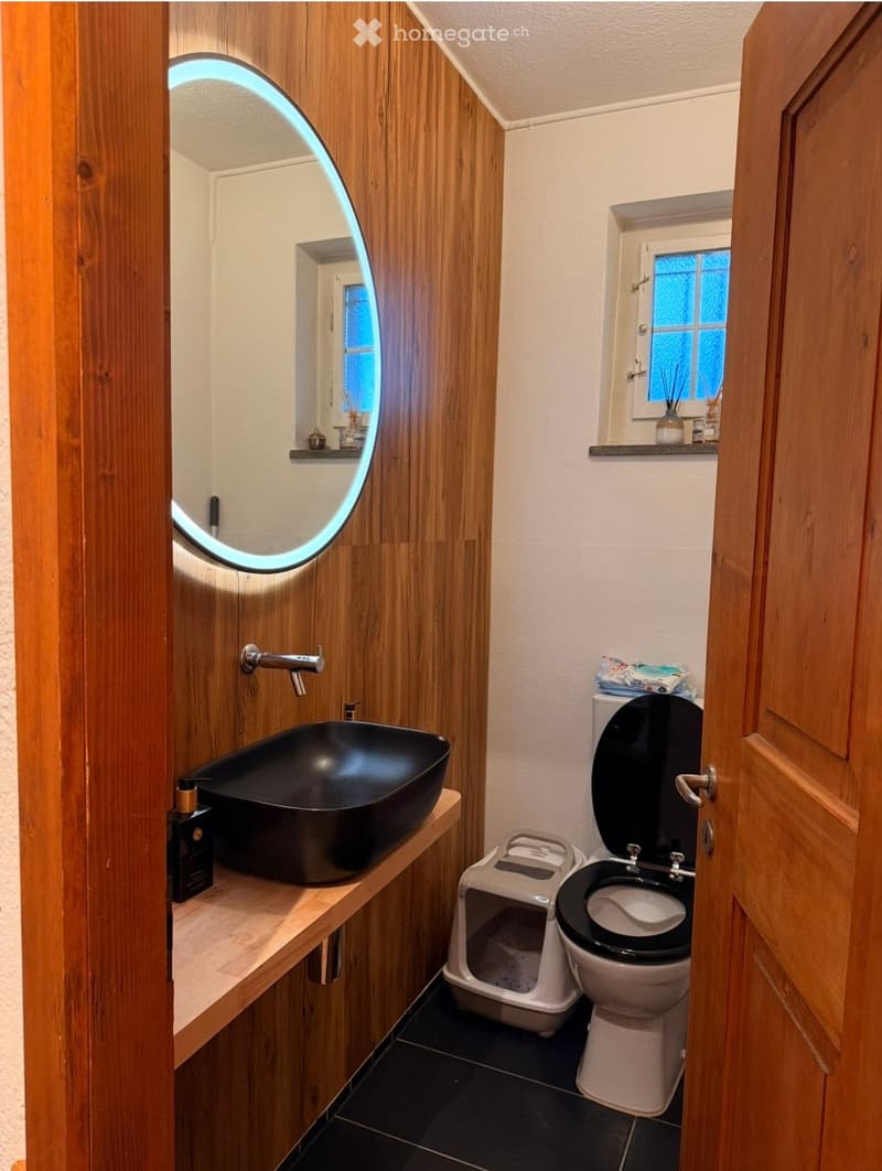 Modern bathroom with wooden walls, black sink, sleek faucet, toilet, and a round illuminated mirror. A small shelf holds a bottle and a cat litter box is visible.