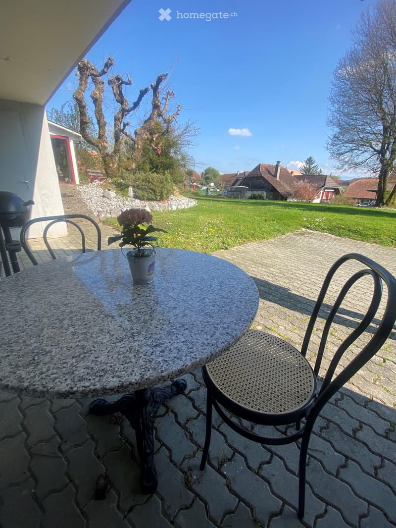 Outdoor patio area with a round stone table, black metal chair, and a small flower pot with pink flowers. The area is paved with stone tiles and overlooks a grassy lawn and neighboring houses.