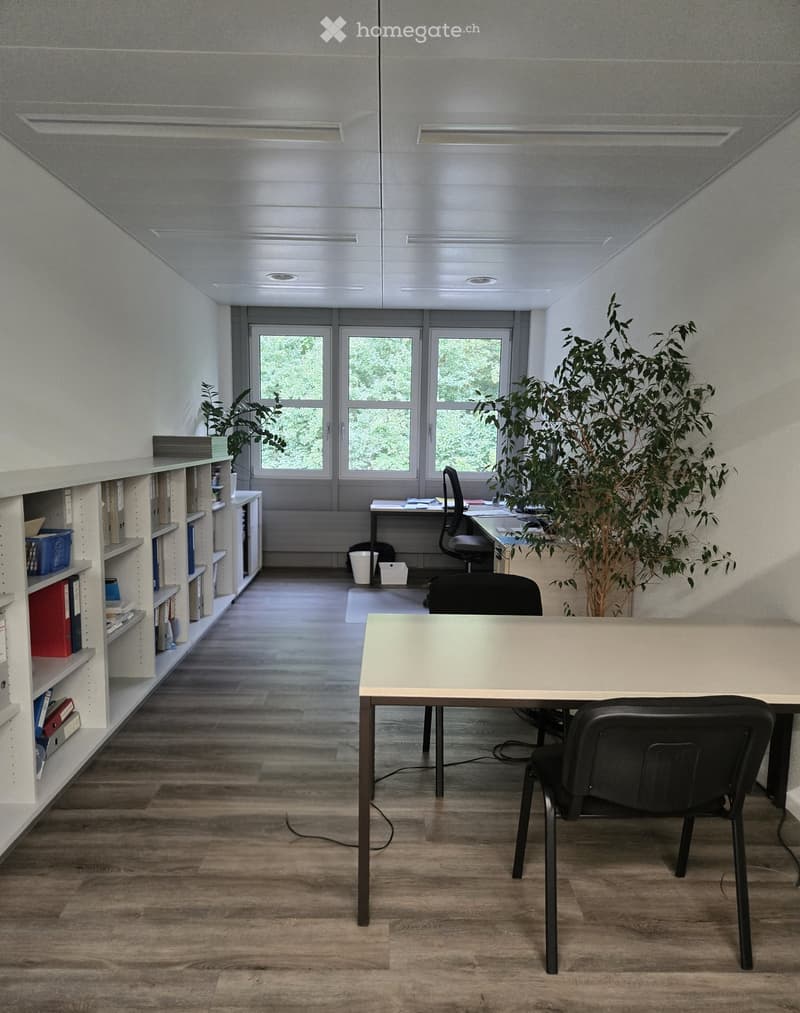 Modern office space with wooden flooring, large windows, a central table with chairs, shelves filled with books and supplies, and potted plants.