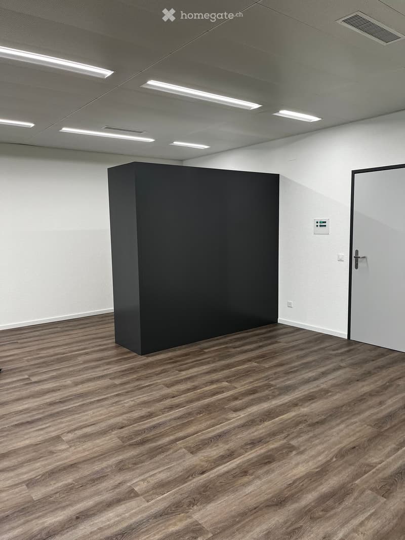 Empty room with wooden flooring, white walls, a large black partition, and a white door.