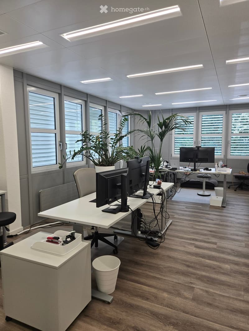 Modern office space with white desks, chairs, multiple computer screens, laptops, and potted plants near large windows with blinds.