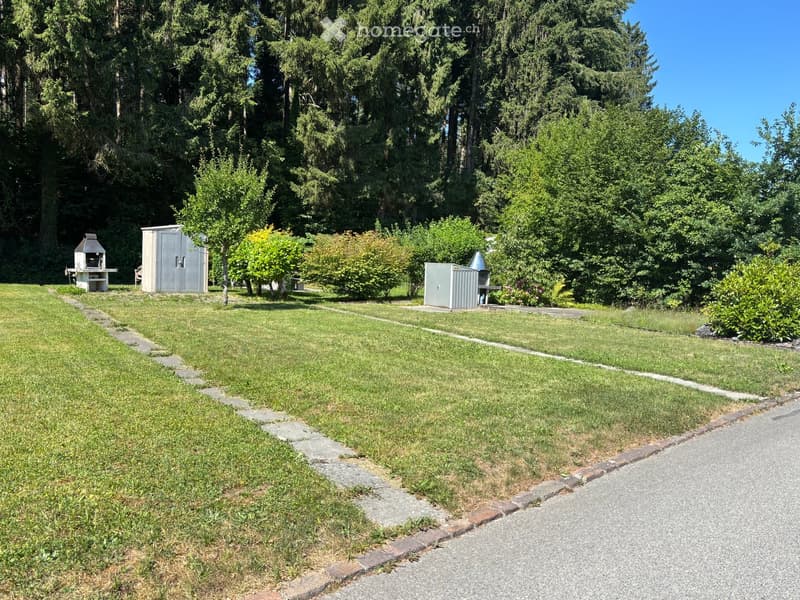 Well-maintained lawn with a pathway, small shed, barbecue, and surrounding trees.