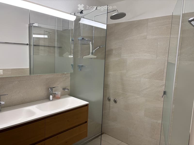 Modern bathroom with a white sink, wooden cabinet, large mirror, and glass-enclosed shower with a handheld showerhead.