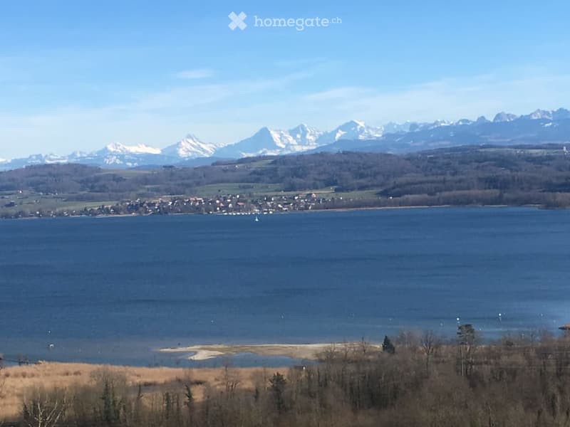 Scenic view of a lake with snow-capped mountains in the background, surrounded by a small town and trees.