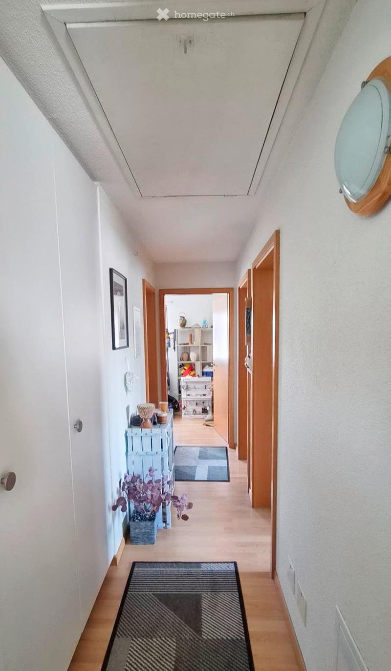 A well-lit hallway with wooden flooring, white walls, and several doors leading to different rooms. There are small rugs, a small table with a plant, and a shelf visible in the background.