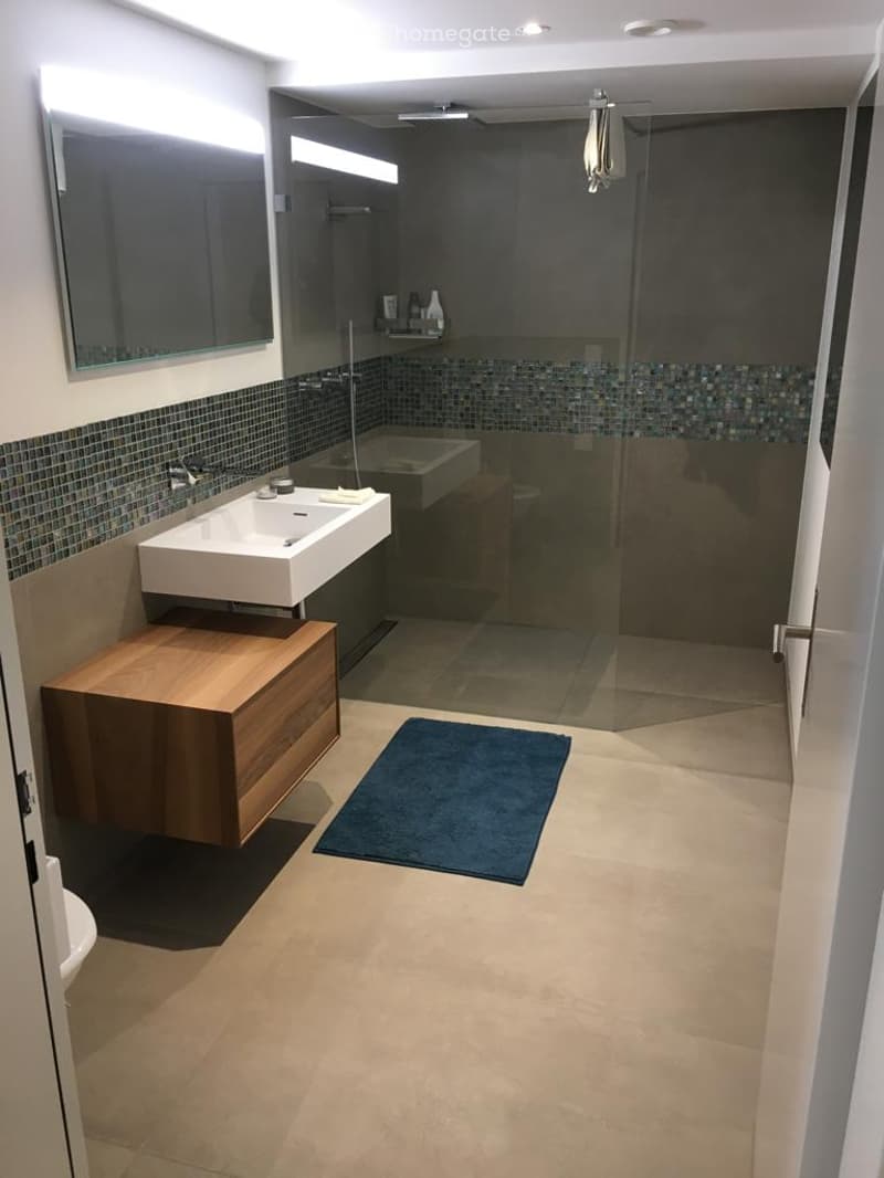 Modern bathroom with a white sink, wooden cabinet, large mirror, bathtub, and a blue rug on the floor.