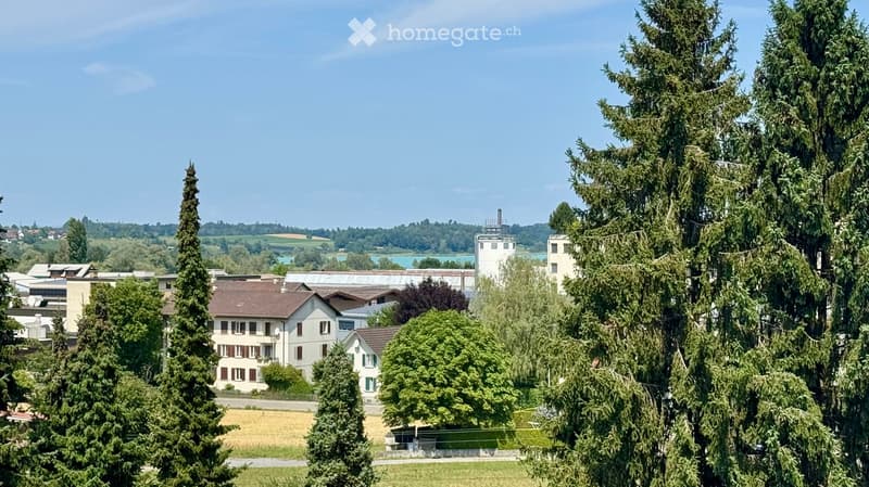 A multi-story residential building with a brown roof and white walls, surrounded by tall trees and greenery, with a scenic view of a lake and distant hills in the background.