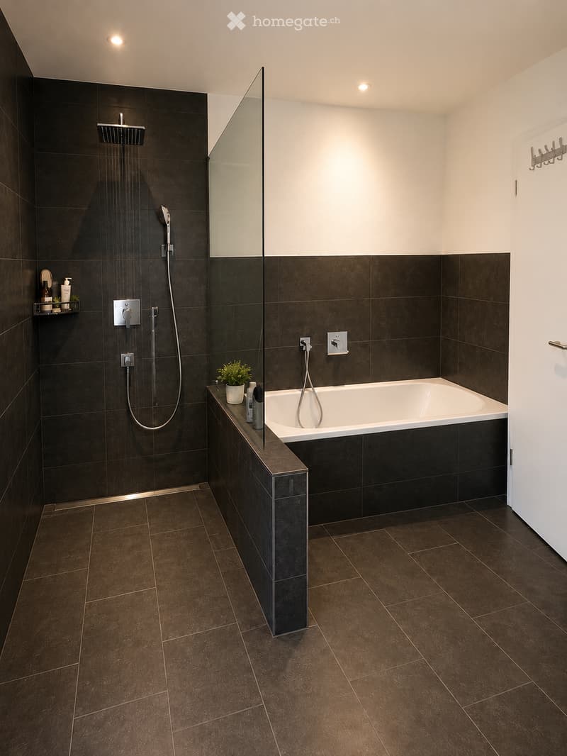 Modern bathroom with dark tiled walls and floor, featuring a bathtub, shower area with glass enclosure, and a small shelf with toiletries and a plant.