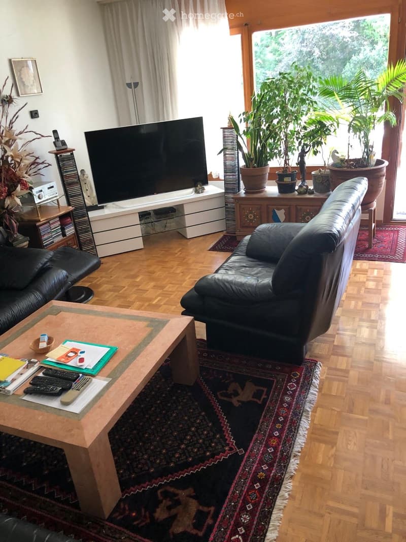 A modern living room with wooden flooring, large windows, and ample natural light. Features include a black leather sofa, a wooden coffee table with remote controls and magazines, a flat-screen TV on a white stand, and several potted plants near the windo