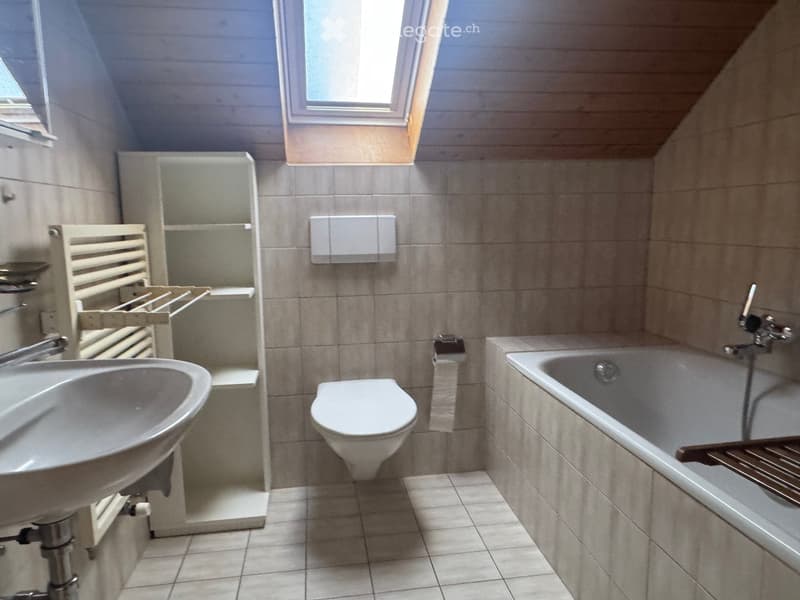 Bathroom with a sink, toilet, bathtub, and a shelf. The room has tiled walls and a slanted ceiling with skylights.