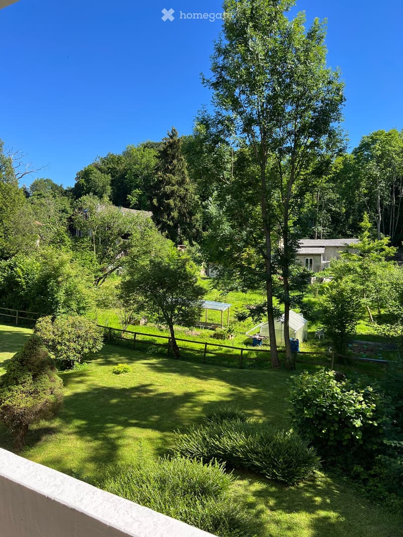 A lush, green garden with a well-maintained lawn, various trees, shrubs, and a small greenhouse. The area is enclosed by a wooden fence and features a clear blue sky overhead.
