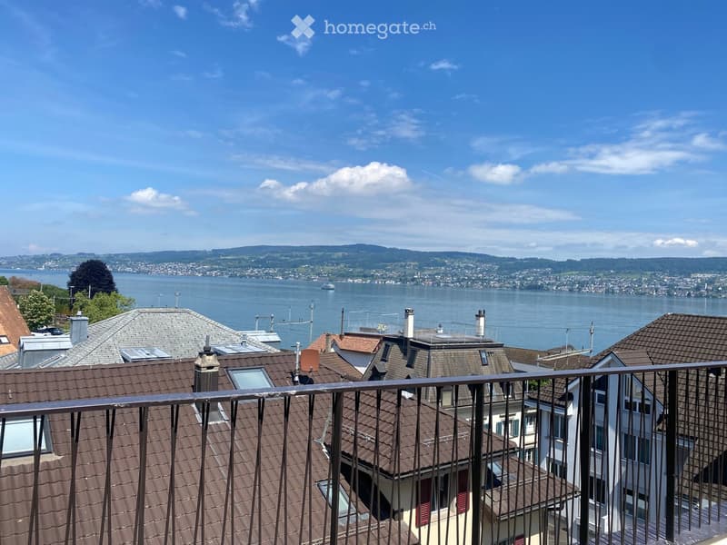 Balcony overlooking a scenic view of a lake and distant cityscape with rooftops in the foreground.