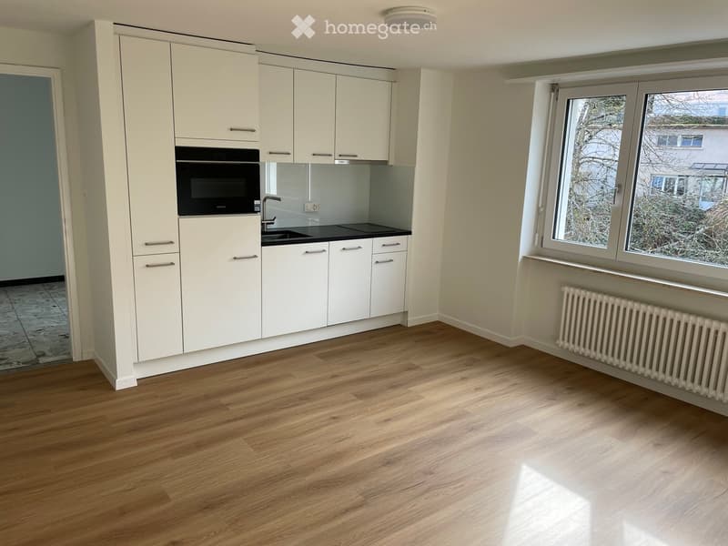 Modern kitchen with white cabinets, a built-in oven, a sink with a faucet, and wooden flooring.