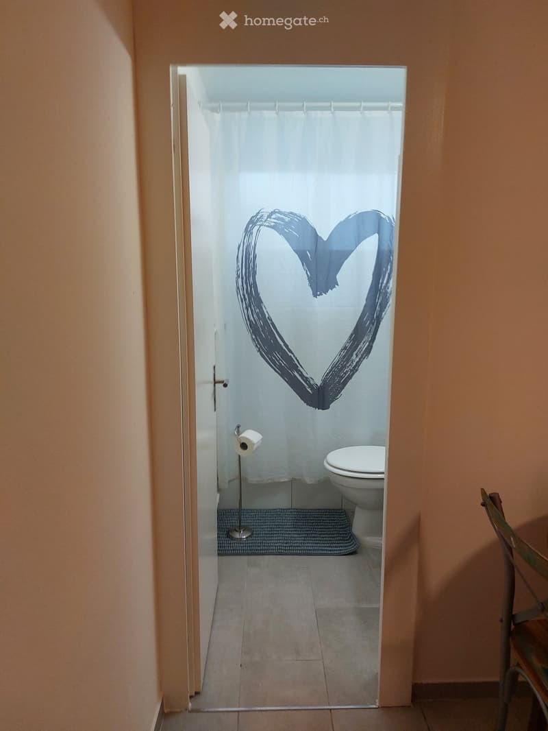 Small bathroom with a toilet, toilet paper holder, and a blue heart-shaped design on the shower curtain.