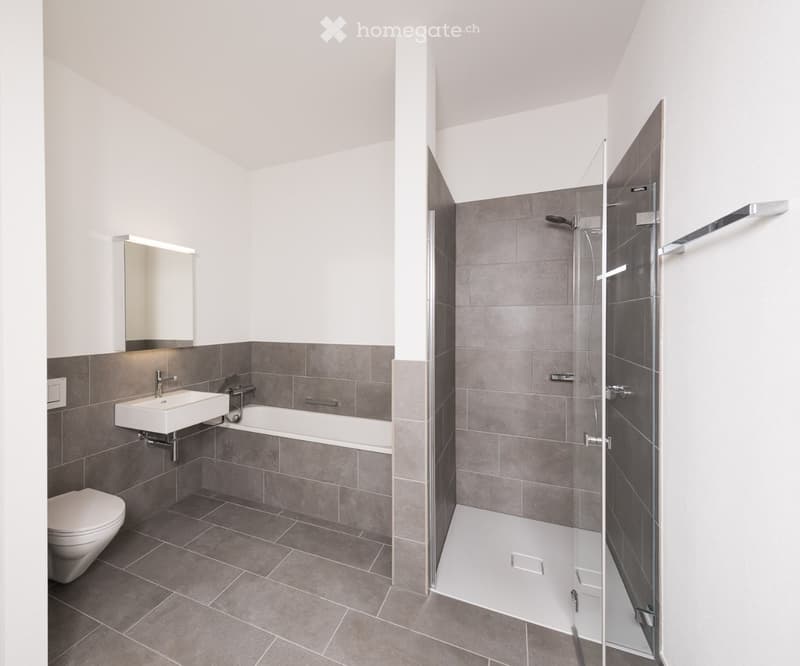 Modern bathroom with grey tiles, white fixtures, a bathtub, a shower, a sink, and a toilet.