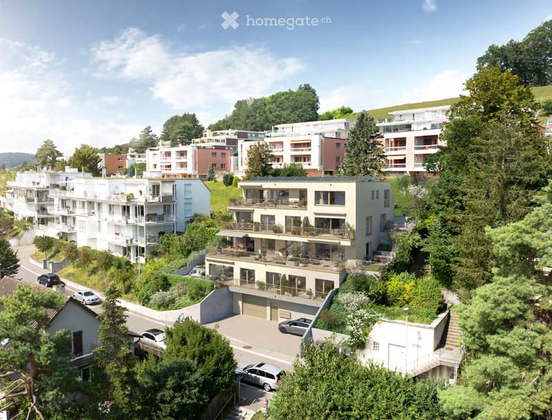 Aerial view of a residential area with multiple modern houses, balconies, and a parking lot with several cars.