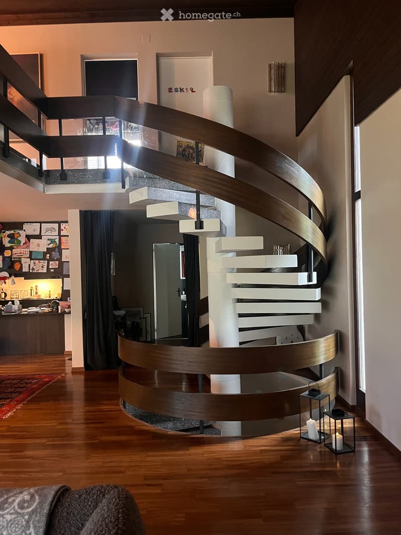 Nachmieter gesucht: 5.5-Zimmer-Architektenhaus mit Panorama-Seesicht, Badesteg und Südterrasse (4)