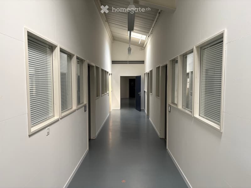 Clean, modern hallway with white walls, grey flooring, and multiple windows with blinds. A single hanging light fixture is visible, and a door is seen at the end of the corridor.