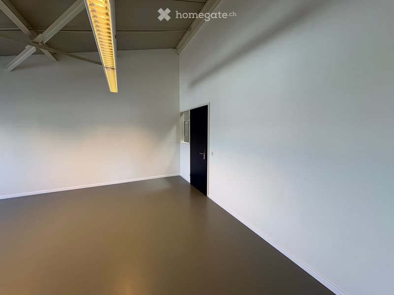 Empty room with white walls, grey floor, and a single door leading to another space. Minimalist design with a single linear light fixture on the ceiling.