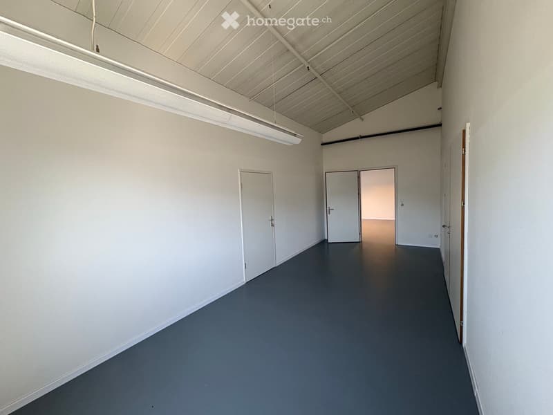 Empty hallway with white walls, grey carpeted floor, and white doors leading to other rooms.