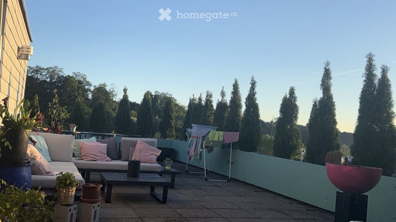 A modern balcony with a grey sofa, coffee table, and potted plants, overlooking a landscaped garden with tall coniferous trees.