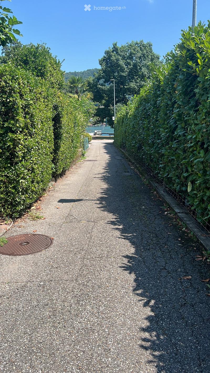 A narrow gravel pathway bordered by neatly trimmed hedges, leading towards a distant view of water and trees.
