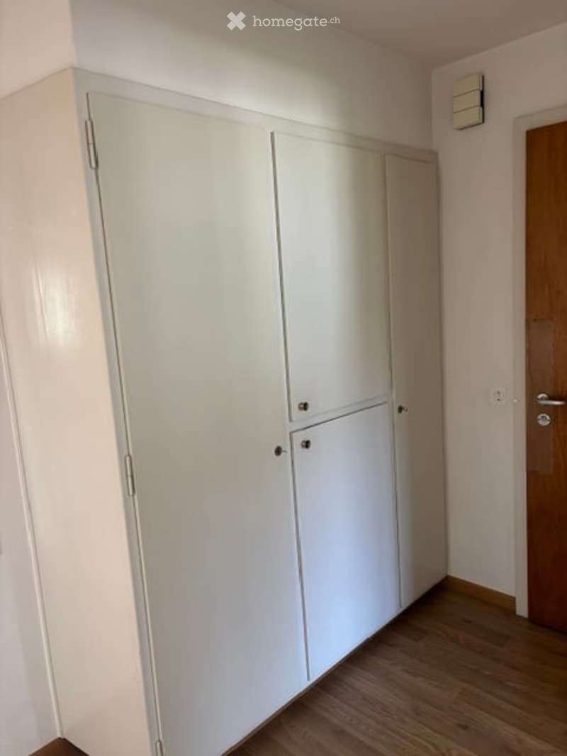 Empty room with white built-in wardrobes, wooden floor, and a wooden door.