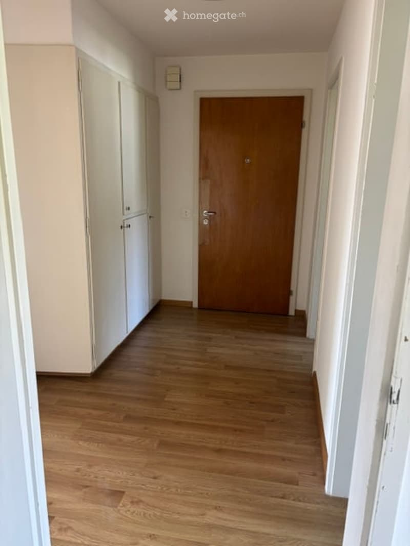 Empty hallway with wooden flooring, white walls, and a closed wooden door at the end.