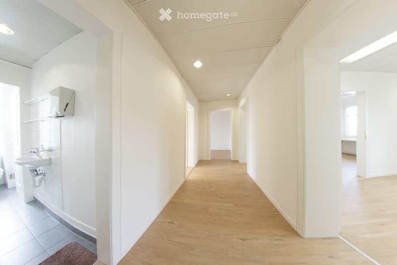 Bright, minimalist hallway with light wooden flooring, white walls, and recessed lighting. Features a small white sink and shelves on one side, with a brown rug near the sink area.