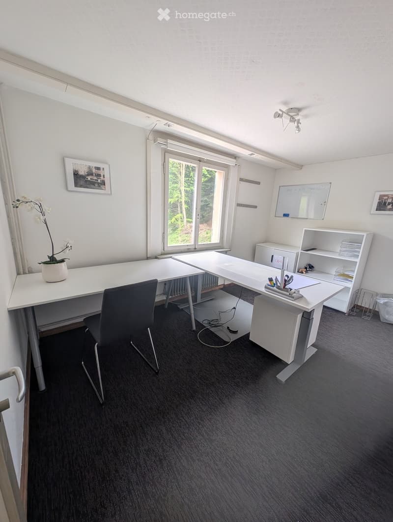 Modern office space with two desks, chairs, a shelf, a flower pot, a whiteboard, and framed pictures on the walls.