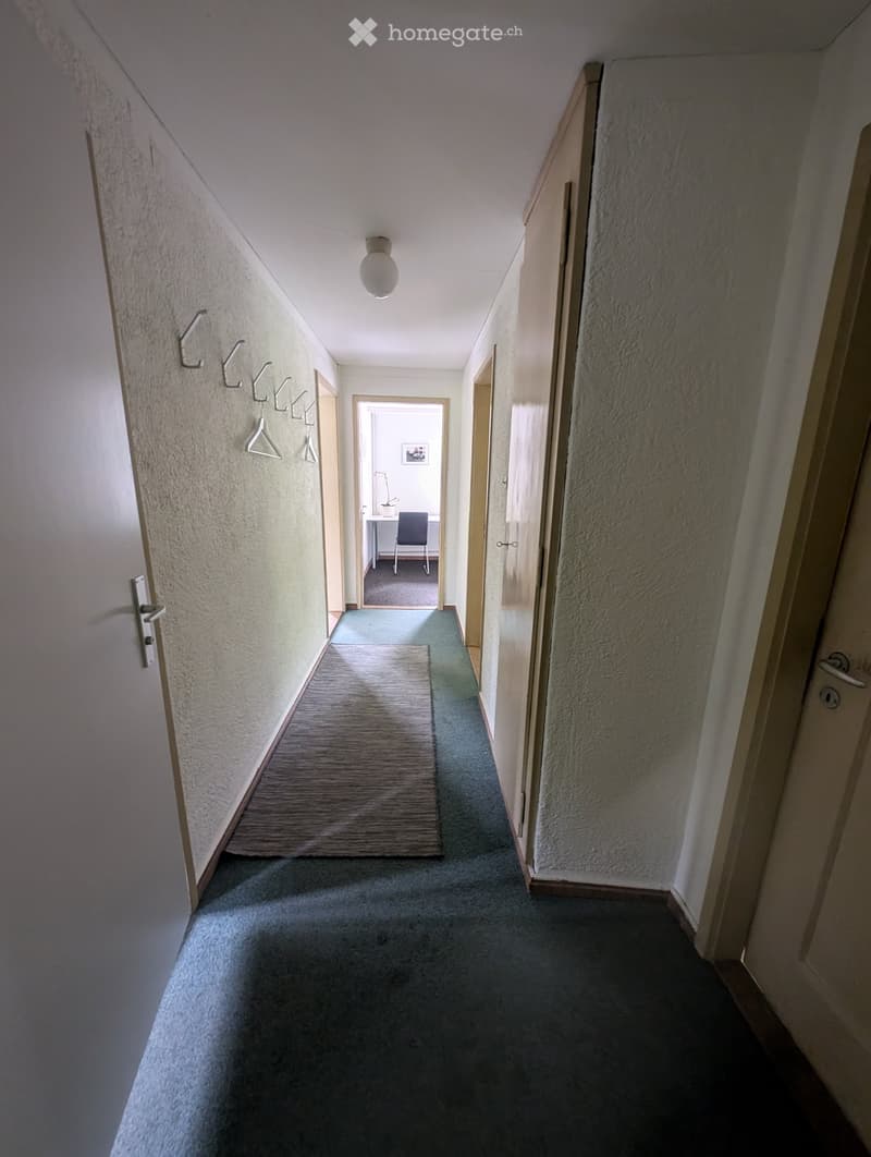 A narrow hallway with carpeted flooring, light-colored walls, and a small rug placed in the center. A coat rack with hooks is mounted on the left wall, and a single ceiling light fixture provides illumination. A doorway at the end leads to another room wi