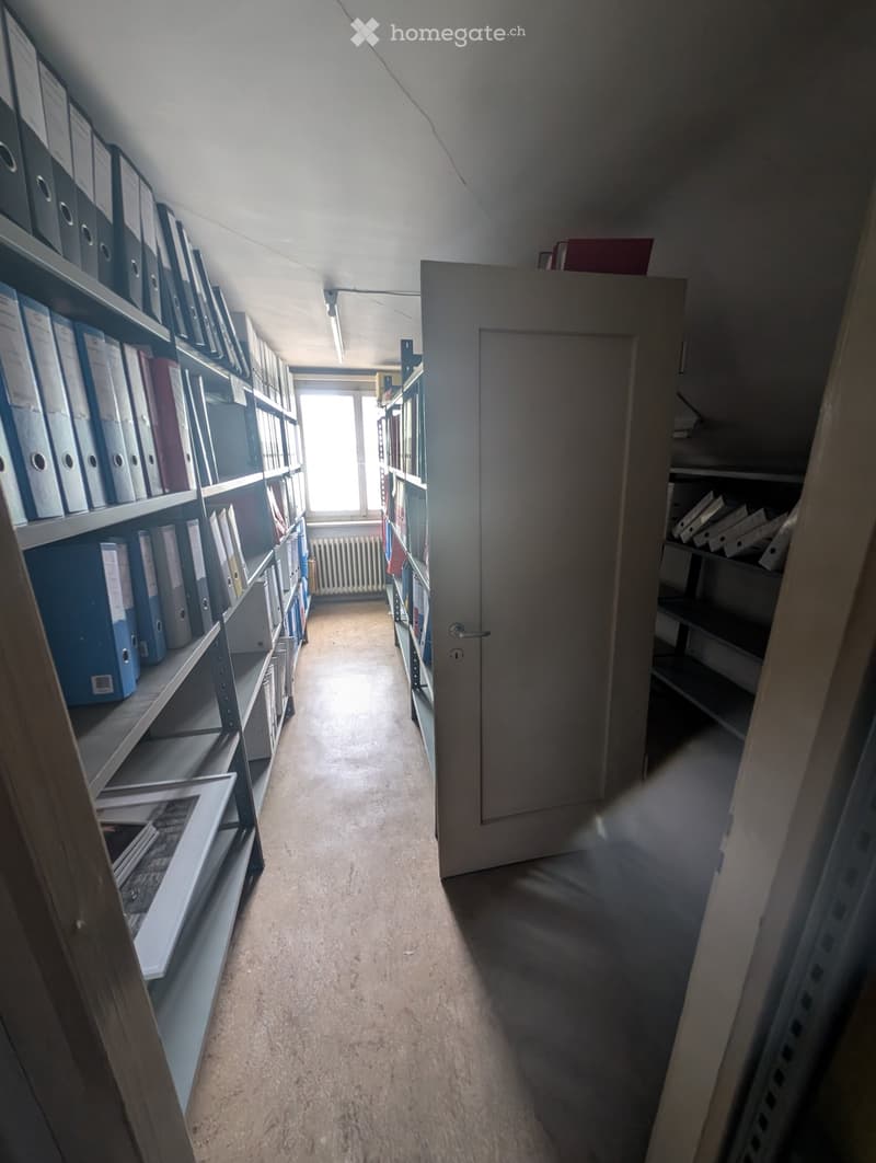 A narrow hallway with carpeted floor, shelves filled with binders and books on both sides, a closed door at the end, and a window letting in natural light.