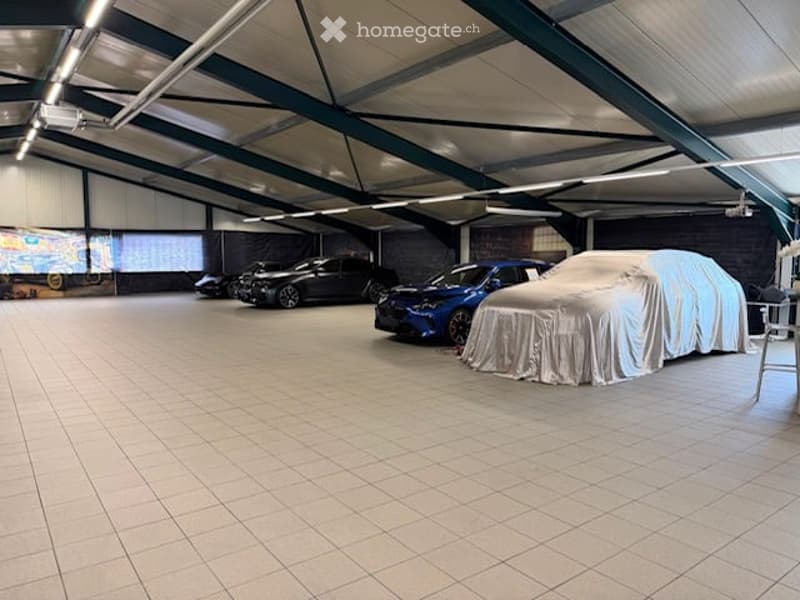 {"visible_features": ["Garage"], "type": "Garage", "objects": [], "description": "Spacious garage with tiled floor, high ceiling, and several cars parked inside, including a covered vehicle.", "localized_descriptions": {"EN": "Spacious garage with tiled f