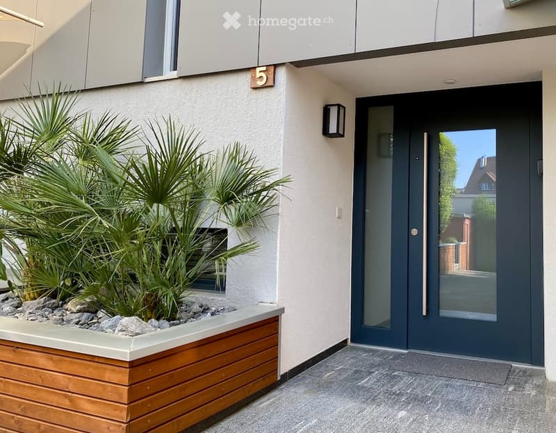 Modern building entrance with a dark blue double door, a small palm plant in a wooden planter, and a house number sign above the door.