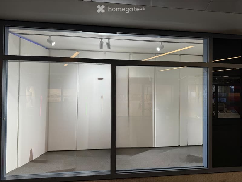 Empty room with large glass walls and a modern interior design, featuring recessed lighting and a carpeted floor.