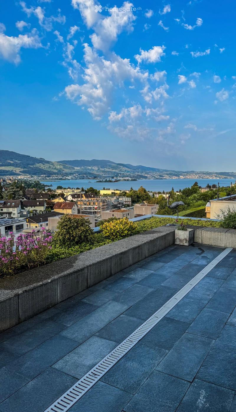Roof terrace with concrete floor, low wall, and scenic view of city, lake, and mountains.