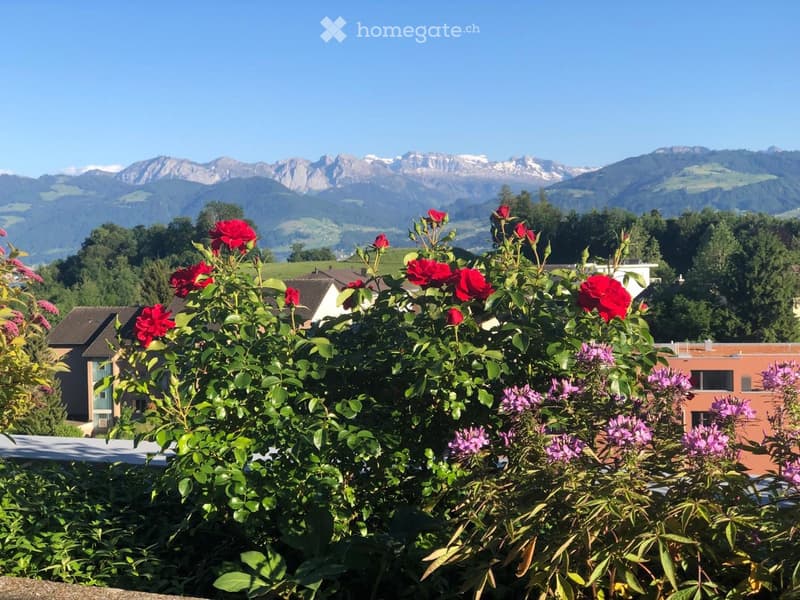 A garden with red and purple flowers in the foreground, with a scenic mountain view in the background.