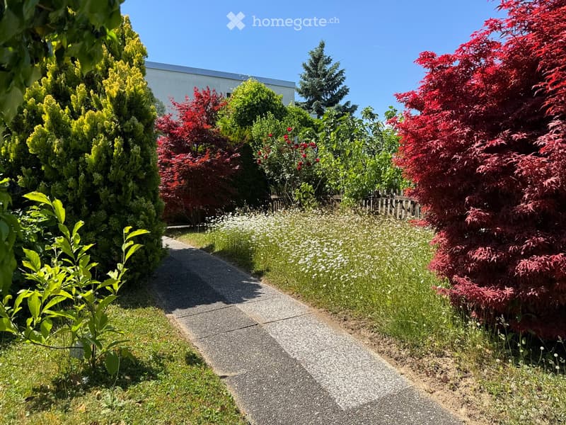 Gartensitzplatz und Wiese mit ebenerdigem Zugang zum Terrassenhaus
